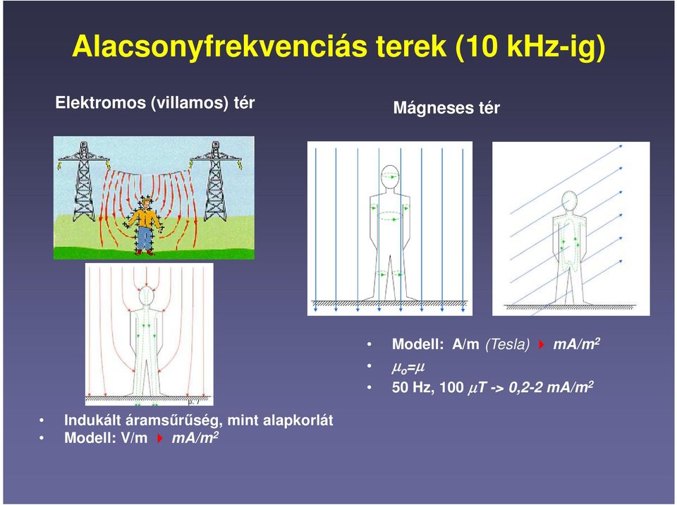 ma/m 2 µ o =µ 50 Hz, 100 µt -> 0,2-2 ma/m 2