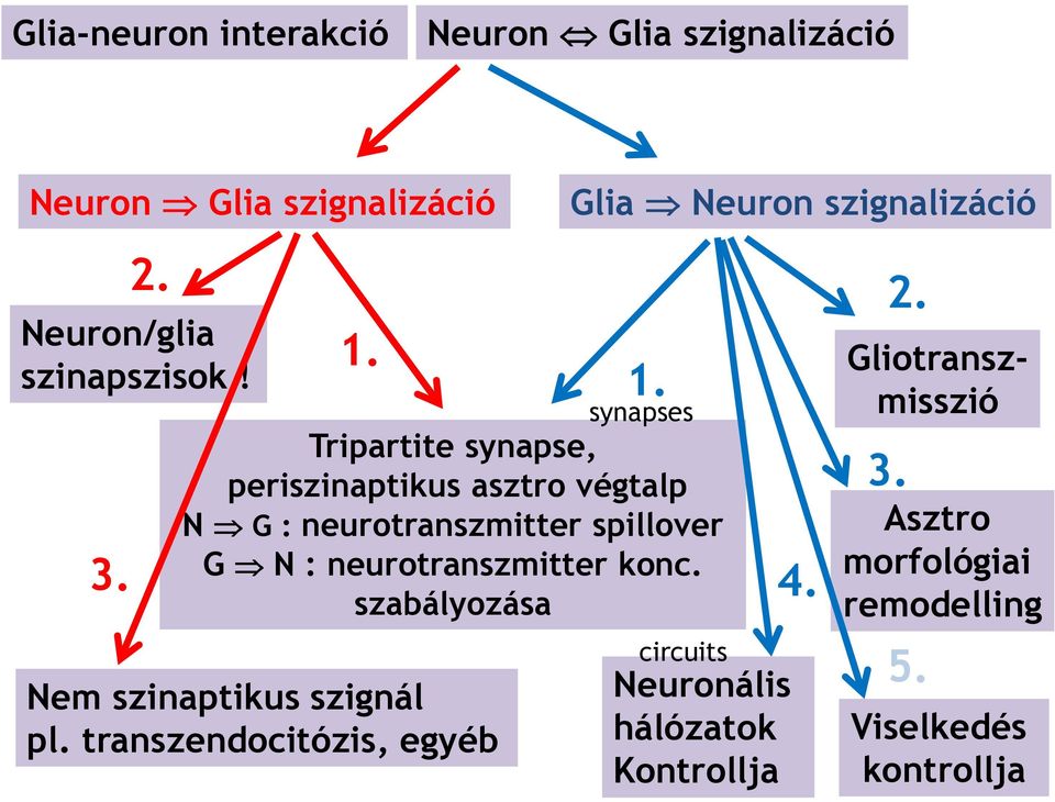 konc. szabályozása Nem szinaptikus szignál pl. transzendocitózis, egyéb Glia Neuron szignalizáció 1. synapses 3.