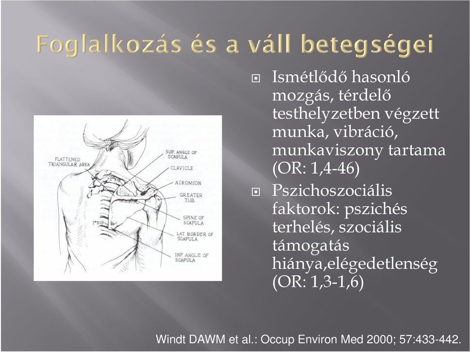 faktorok: pszichés terhelés, szociális támogatás