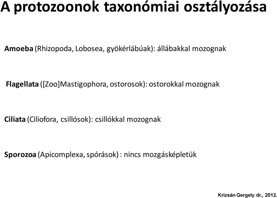 ostorosok): ostorokkal mozognak Ciliata (Ciliofora, csillósok):