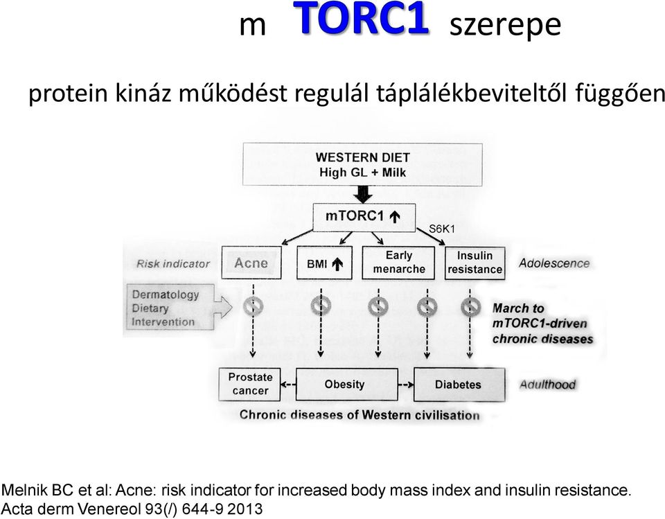 Acne: risk indicator for increased body mass