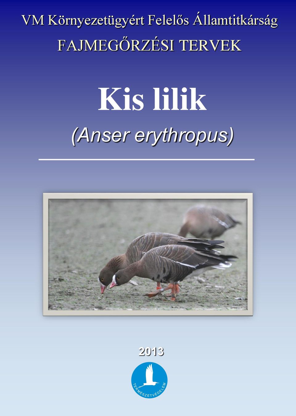 TERVEK Kis lilik (Anser