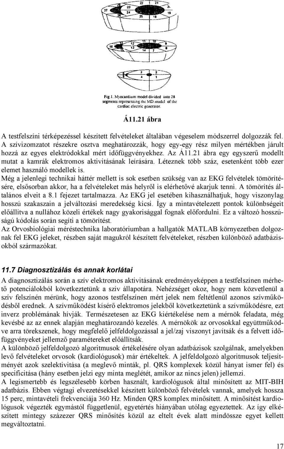 21 ábra egy egyszerű modellt mutat a kamrák elektromos aktivitásának leírására. Léteznek több száz, esetenként több ezer elemet használó modellek is.