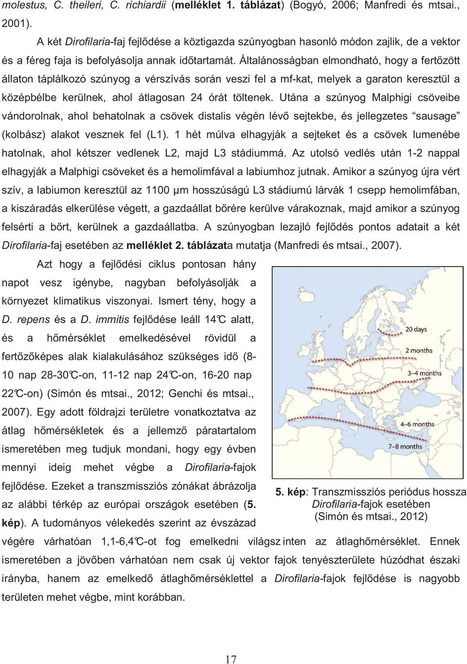 Általánosságban elmondható, hogy a fert zött állaton táplálkozó szúnyog a vérszívás során veszi fel a mf-kat, melyek a garaton keresztül a középbélbe kerülnek, ahol átlagosan 24 órát töltenek.