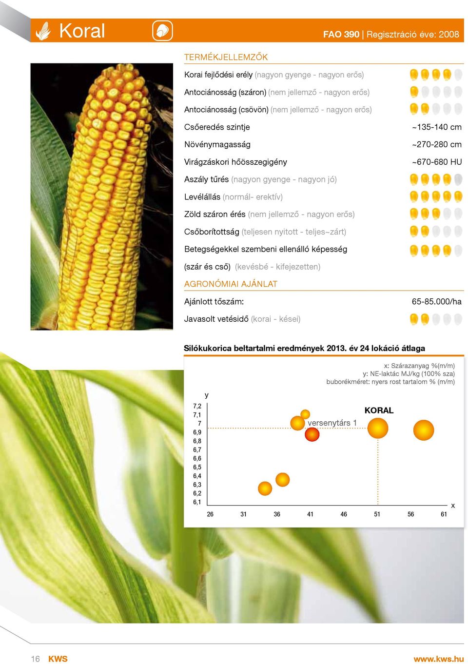 nagon erős) Csőborítottság (teljesen nitott - teljes~zárt) Betegségekkel szembeni ellenálló képesség (szár és cső) (kevésbé - kifejezetten) AGRONÓMIAI AJÁNLAT Ajánlott tőszám: 65-85.