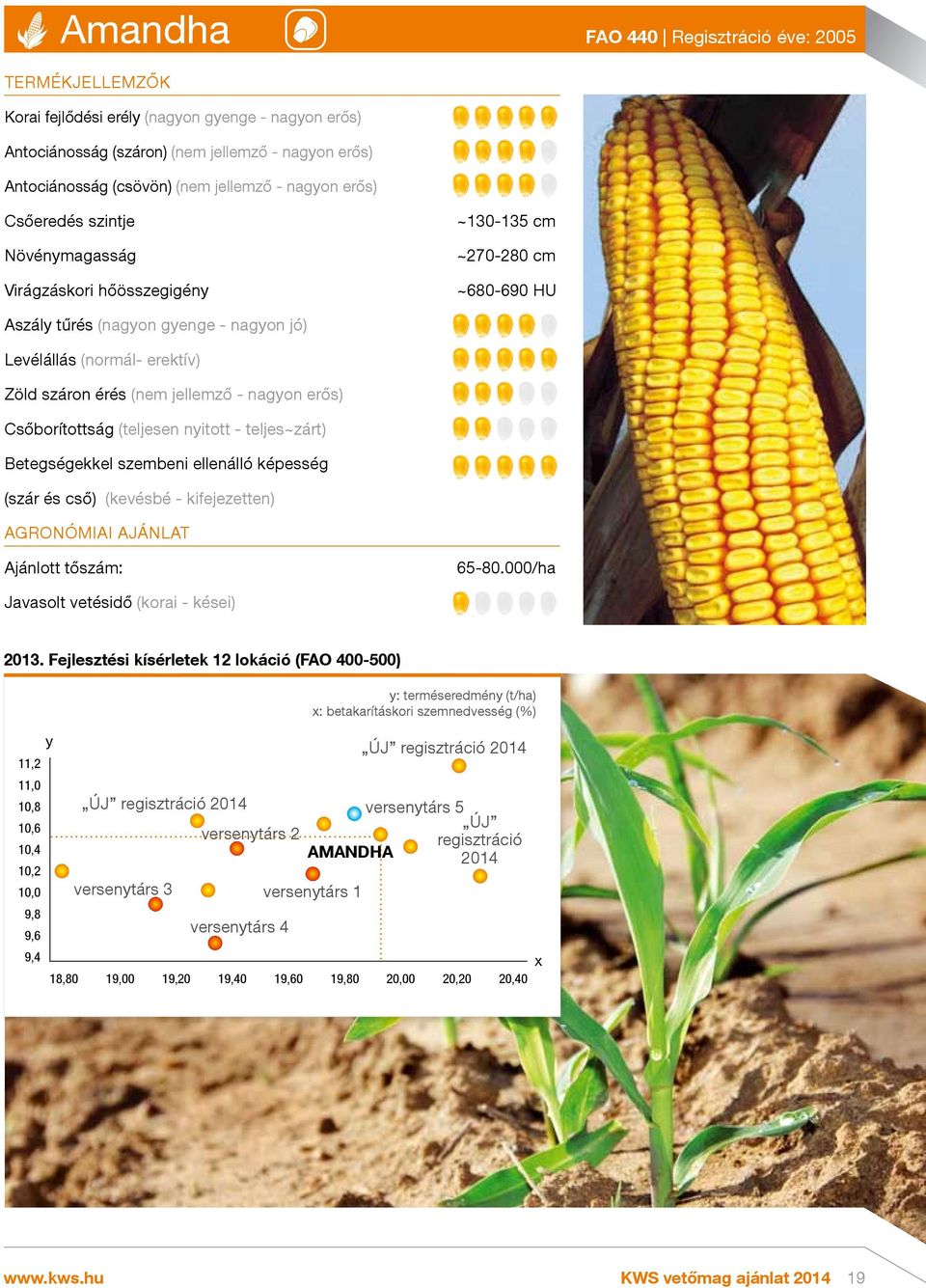 nagon erős) Csőborítottság (teljesen nitott - teljes~zárt) Betegségekkel szembeni ellenálló képesség (szár és cső) (kevésbé - kifejezetten) AGRONÓMIAI AJÁNLAT Ajánlott tőszám: 65-80.