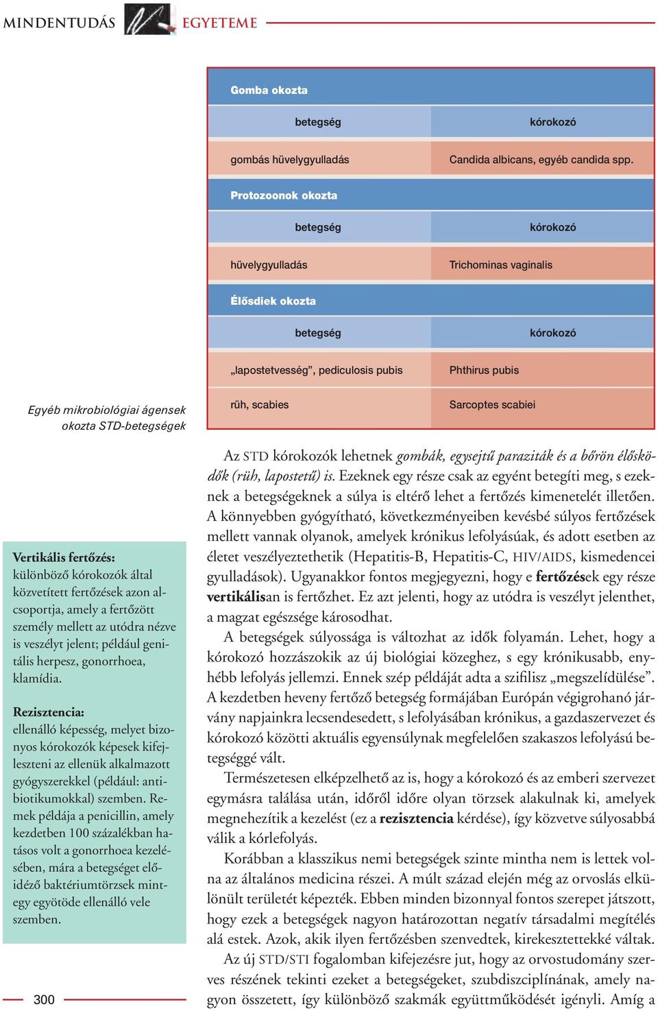 STD-betegségek rüh, scabies Sarcoptes scabiei Vertikális fertôzés: különbözô kórokozók által közvetített fertôzések azon alcsoportja, amely a fertôzött személy mellett az utódra nézve is veszélyt