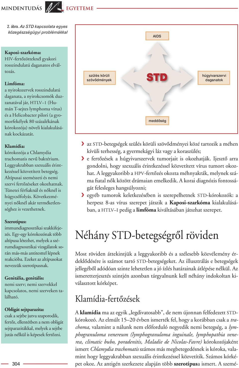 kialakulásának kockázatát. Klamídia: kórokozója a Chlamydia trachomatis nevû baktérium. Leggyakrabban szexuális érintkezéssel közvetített betegség.