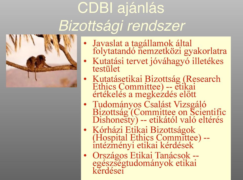 Tudományos Csalást Vizsgáló Bizottság (Committee on Scientific Dishonesty) -- etikától való eltérés Kórházi Etikai