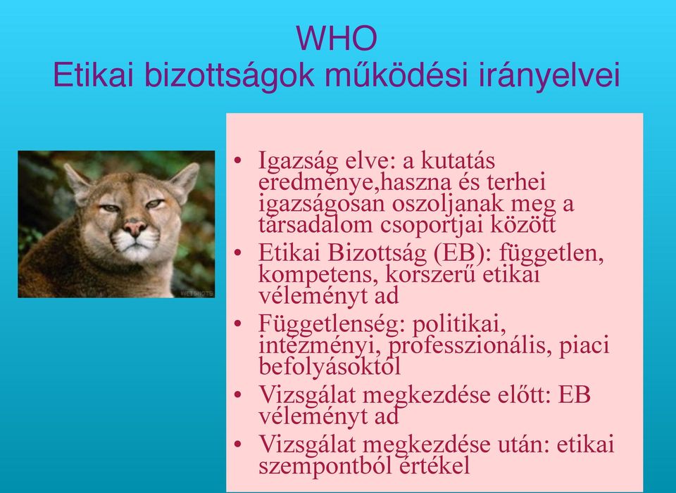 kompetens, korszerű etikai véleményt ad Függetlenség: politikai, intézményi, professzionális, piaci