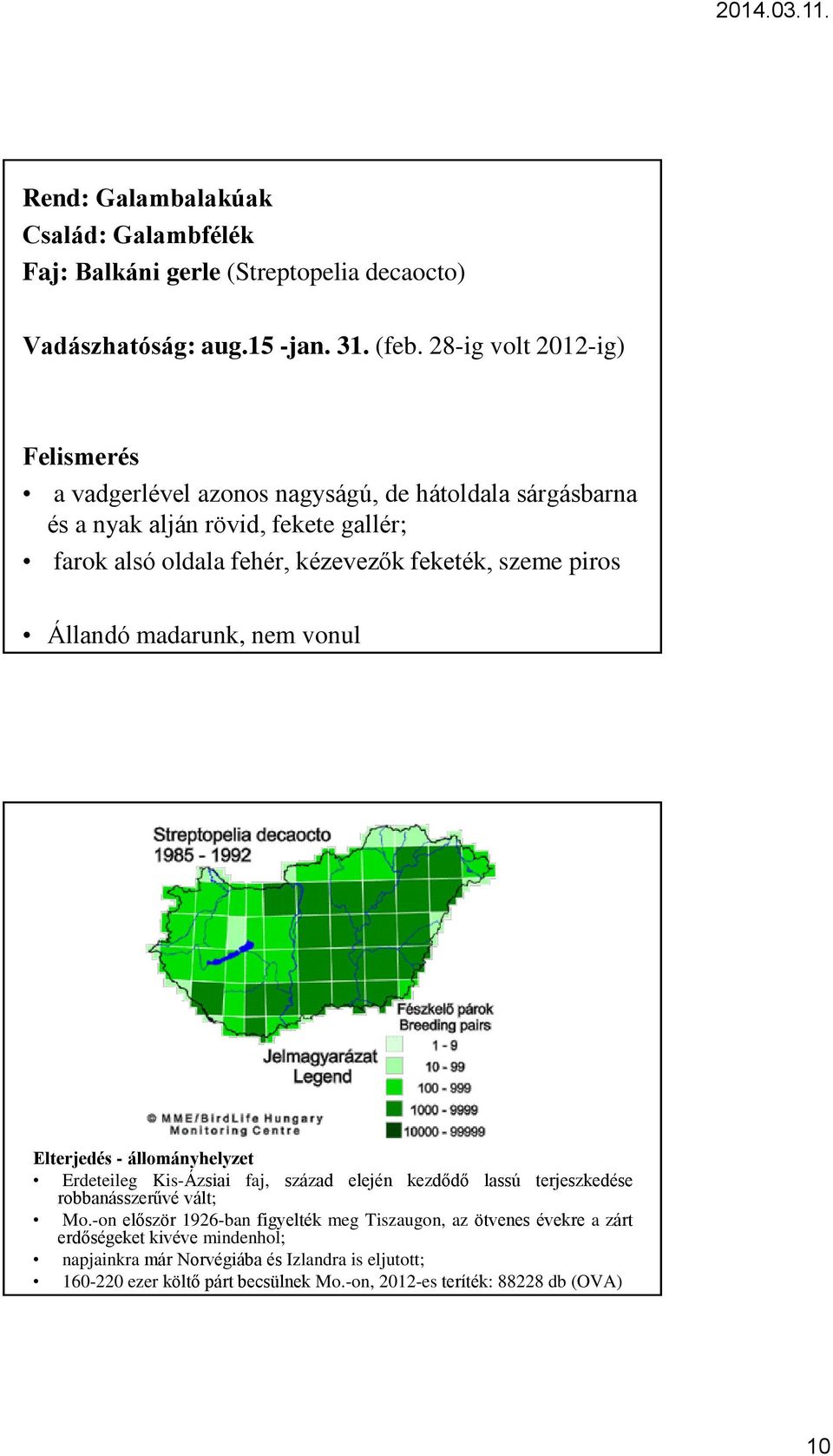 szeme piros Állandó madarunk, nem vonul Elterjedés - állományhelyzet Erdeteileg Kis-Ázsiai faj, század elején kezdődő lassú terjeszkedése robbanásszerűvé vált; Mo.