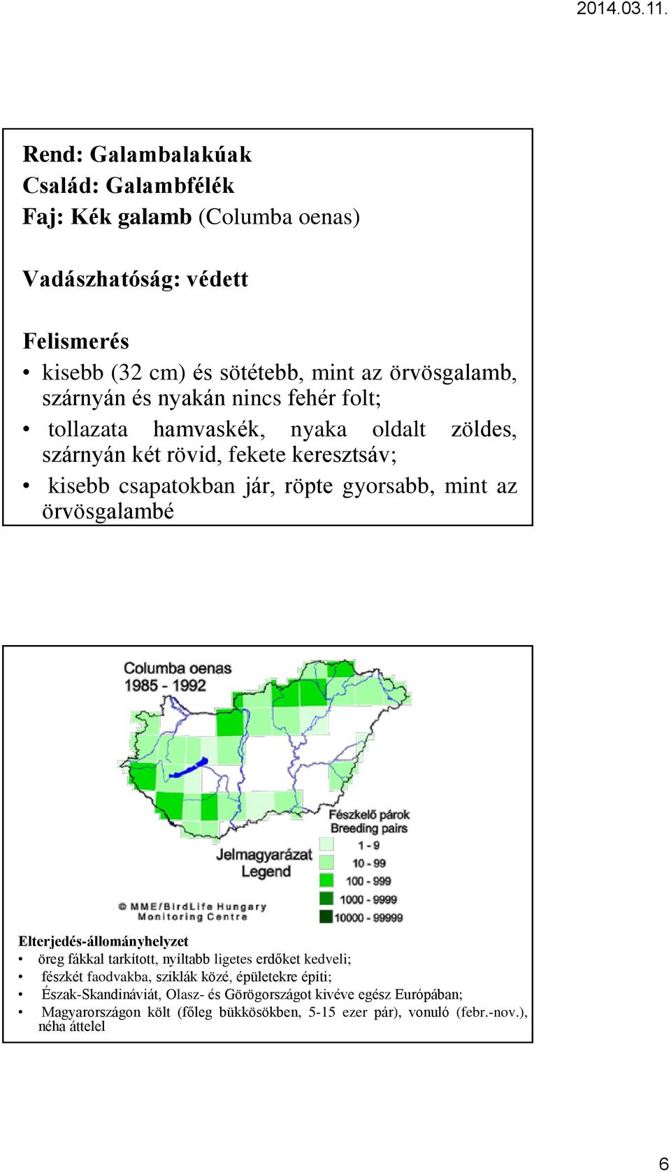 gyorsabb, mint az örvösgalambé Elterjedés-állományhelyzet öreg fákkal tarkított, nyíltabb ligetes erdőket kedveli; fészkét faodvakba, sziklák közé,