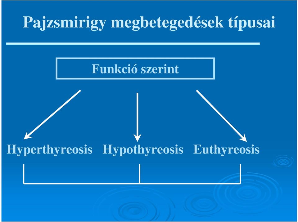 Funkció szerint