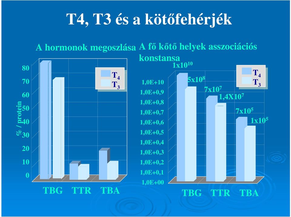 1,0E+10 1,0E+0,9 1,0E+0,8 1,0E+0,7 1,0E+0,6 1,0E+0,5 1,0E+0,4 1,0E+0,3