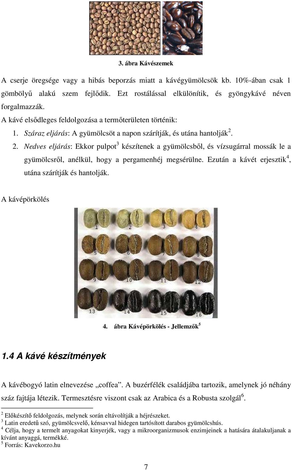 2. Nedves eljárás: Ekkor pulpot 3 készítenek a gyümölcsbıl, és vízsugárral mossák le a gyümölcsrıl, anélkül, hogy a pergamenhéj megsérülne. Ezután a kávét erjesztik 4, utána szárítják és hantolják.