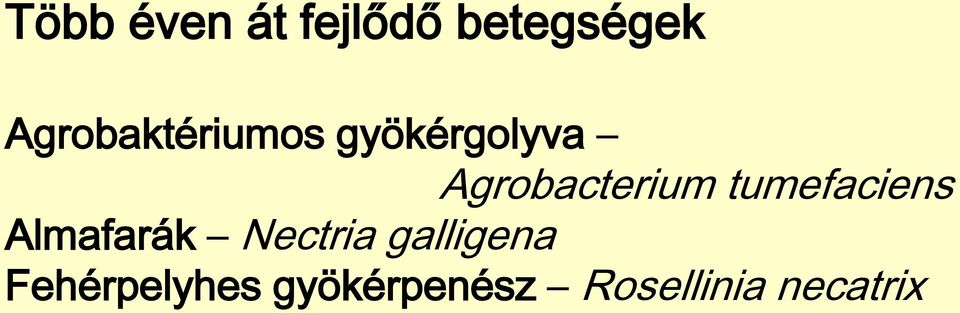 Agrobacterium tumefaciens Almafarák