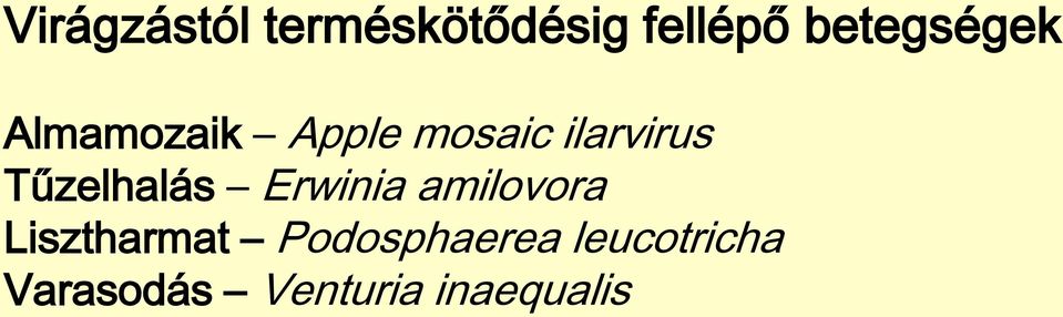 ilarvirus Tűzelhalás Erwinia amilovora