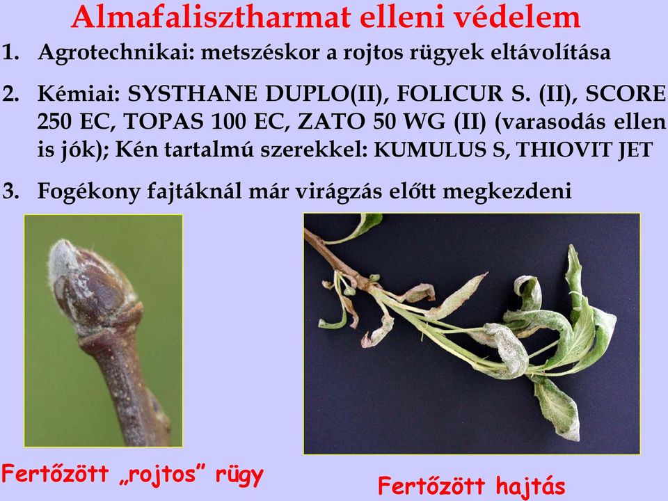 Kémiai: SYSTHANE DUPLO(II), FOLICUR S.