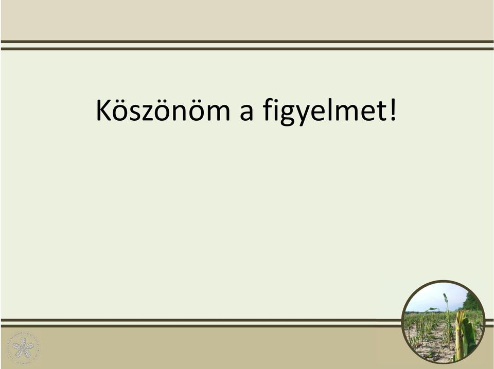 figyelmet!