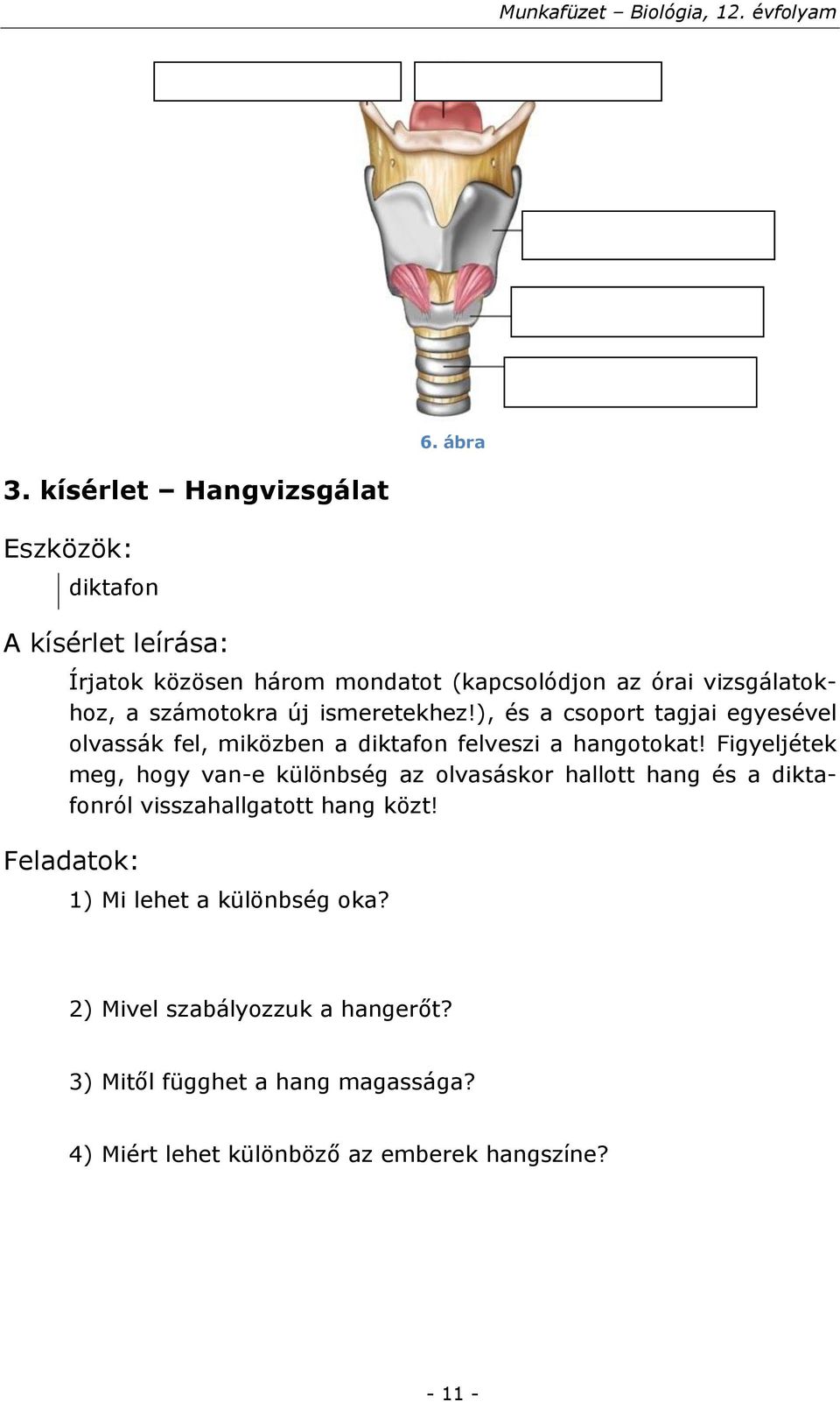 ismeretekhez!), és a csoport tagjai egyesével olvassák fel, miközben a diktafon felveszi a hangotokat!