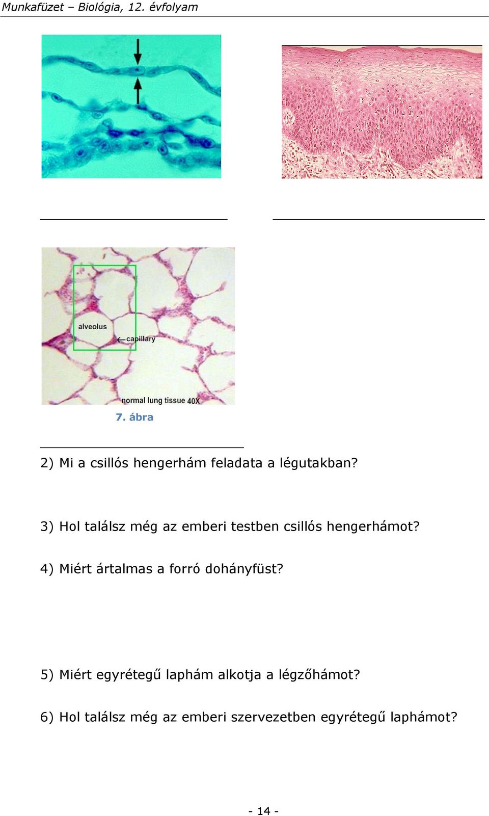 4) Miért ártalmas a forró dohányfüst?