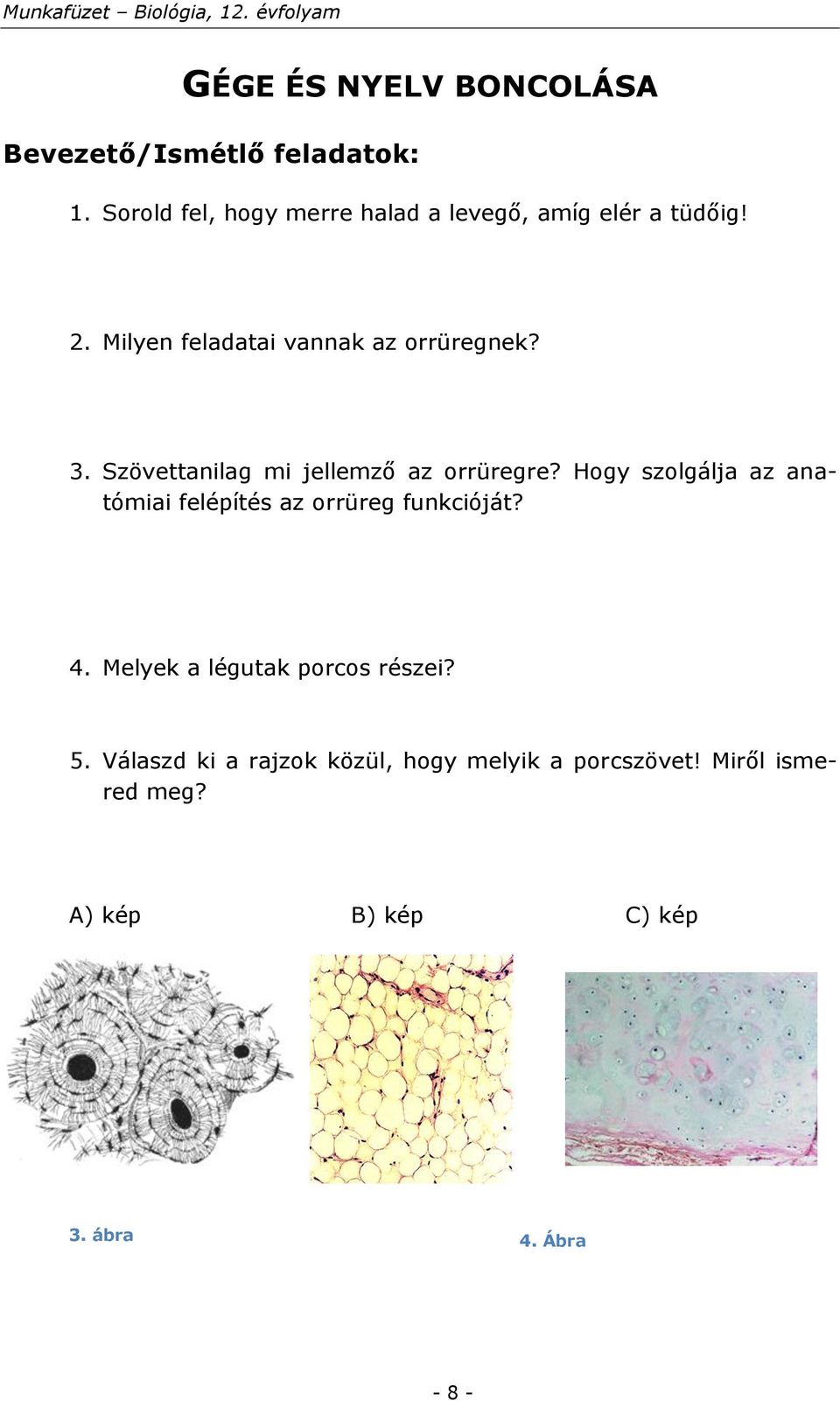 Szövettanilag mi jellemző az orrüregre? Hogy szolgálja az anatómiai felépítés az orrüreg funkcióját? 4.