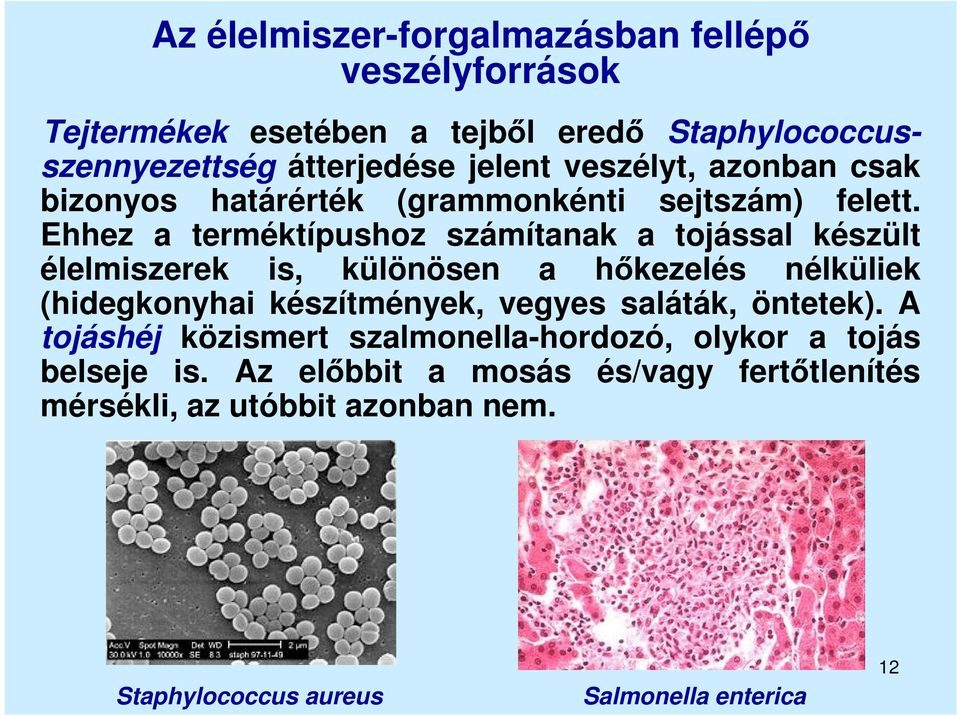 Ehhez a terméktípushoz számítanak a tojással készült élelmiszerek is, különösen a hőkezelés nélküliek (hidegkonyhai készítmények, vegyes