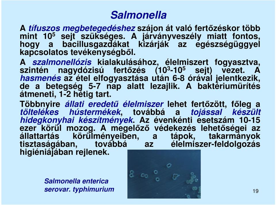 A szalmonellózis kialakulásához, élelmiszert fogyasztva, szintén nagydózisú fertőzés (10 3-10 5 sejt) vezet.