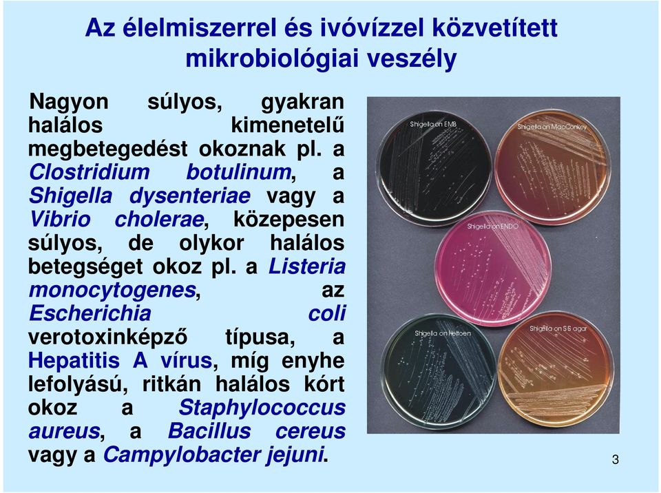 a Clostridium botulinum, a Shigella dysenteriae vagy a Vibrio cholerae, közepesen súlyos, de olykor halálos