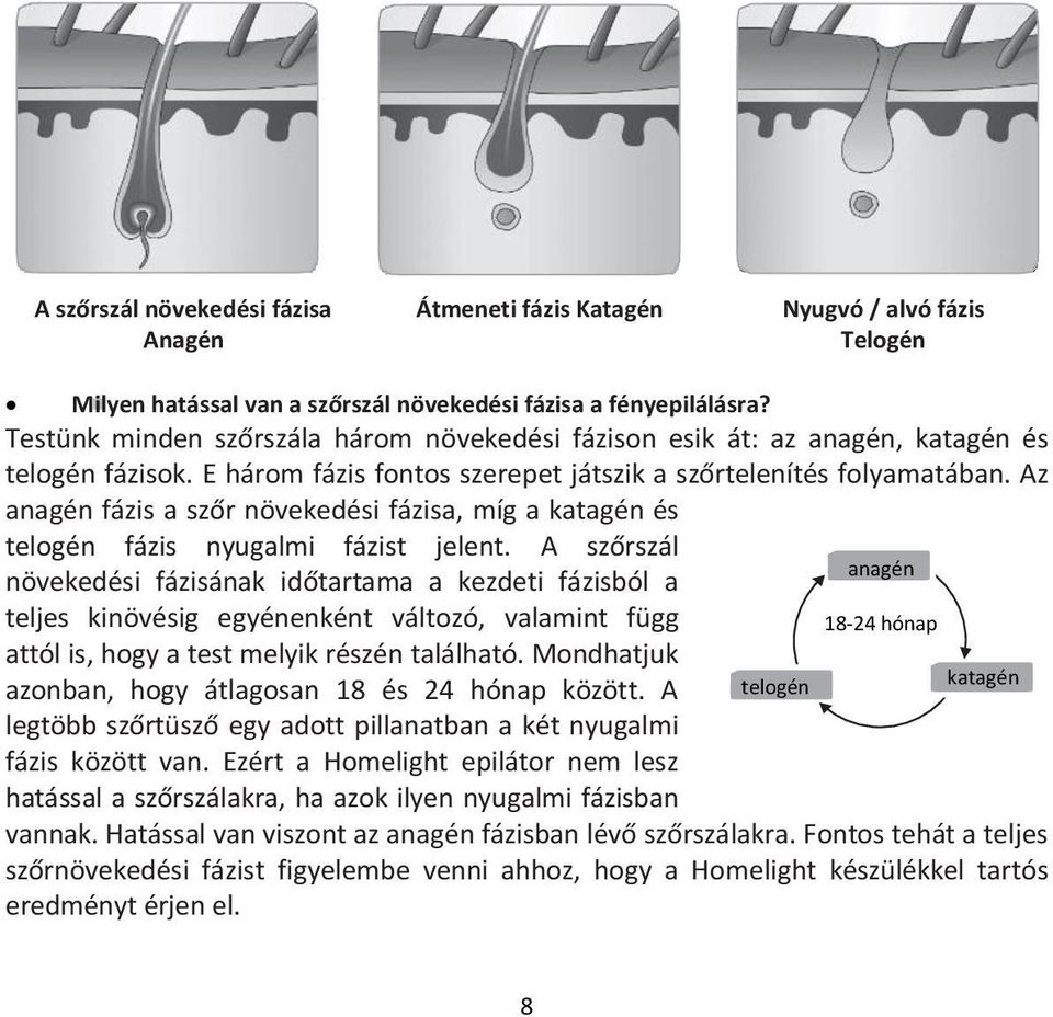 Az anagén fázis a szőr növekedési fázisa, míg a katagén és telogén fázis nyugalmi fázist jelent.