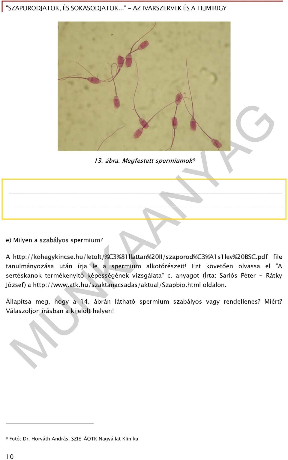 anyagot (Írta: Sarlós Péter - Rátky József) a http://www.atk.hu/szaktanacsadas/aktual/szapbio.html oldalon. Állapítsa meg, hogy a 14.