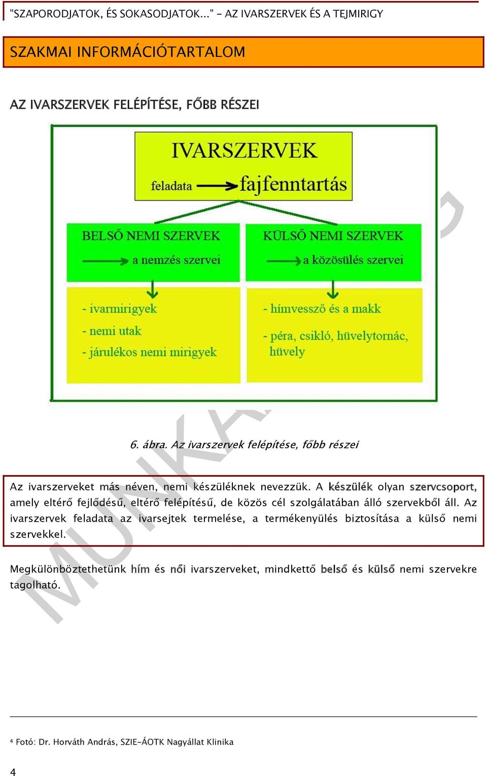 A készülék olyan szervcsoport, amely eltérő fejlődésű, eltérő felépítésű, de közös cél szolgálatában álló szervekből áll.