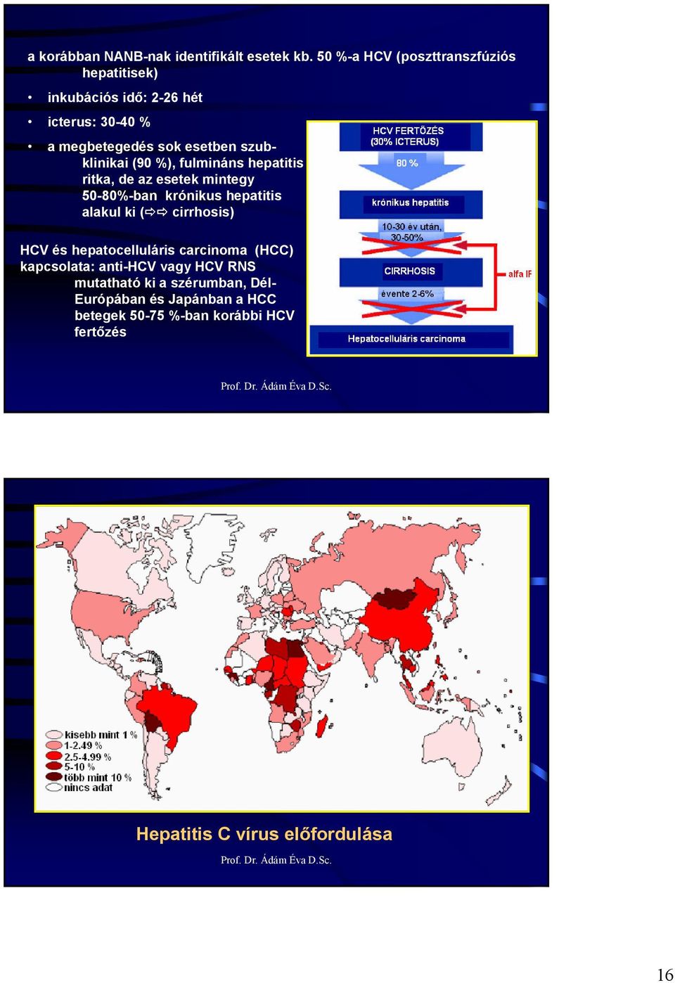 szubklinikai (90 %), fulmináns hepatitis ritka, de az esetek mintegy 50-80%-ban krónikus hepatitis alakul ki (