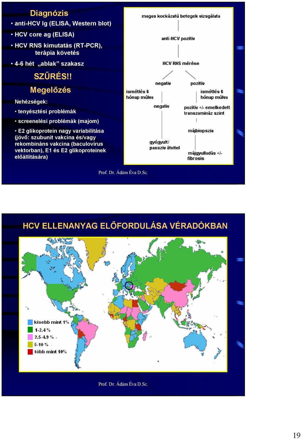 ! Megelızés Nehézségek: tenyésztési problémák screenelési problémák (majom) E2 glikoprotein nagy