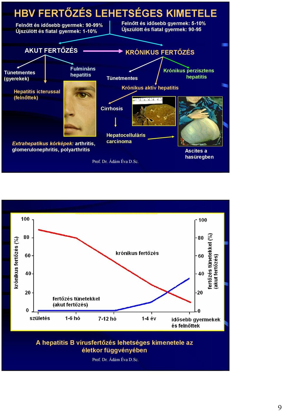 Fulmináns hepatitis Tünetmentes irrhosis Krónikus aktív hepatitis Krónikus perzisztens hepatitis Extrahepatikus kórképek: arthritis,