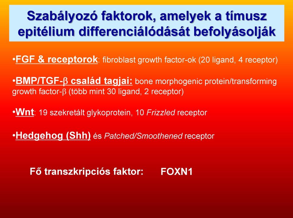 protein/transforming growth factor- (több mint 30 ligand, 2 receptor) Wnt: 19 szekretált