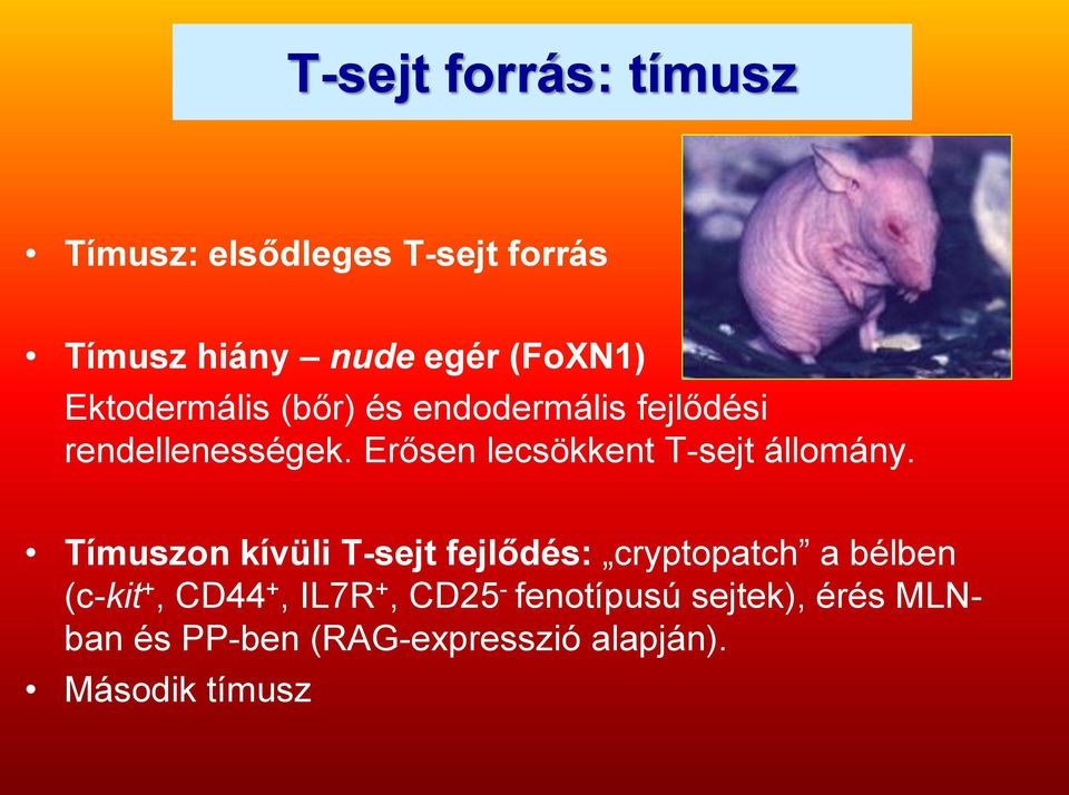 Erősen lecsökkent T-sejt állomány.