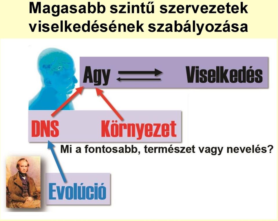 szervezetek