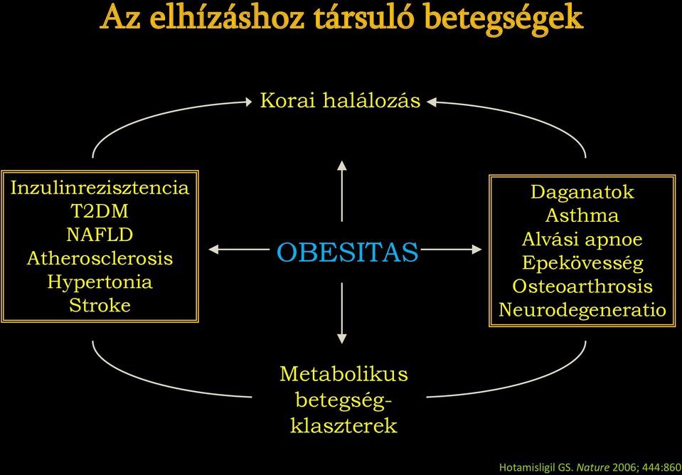 OBESITAS Daganatok Asthma Alvási apnoe Epekövesség Osteoarthrosis