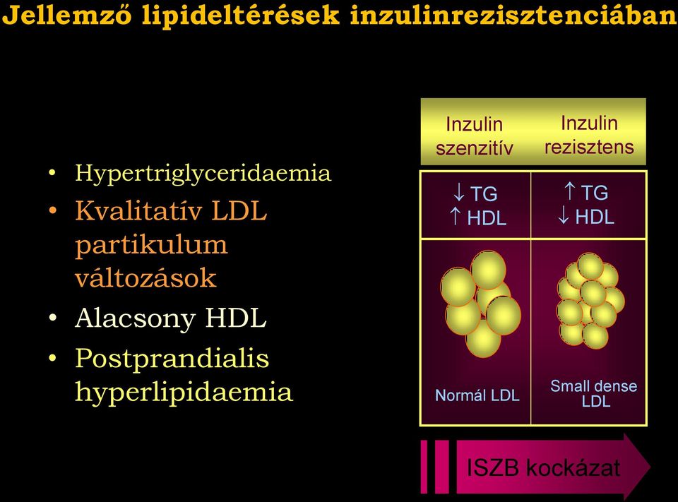 Alacsony HDL Postprandialis hyperlipidaemia Inzulin