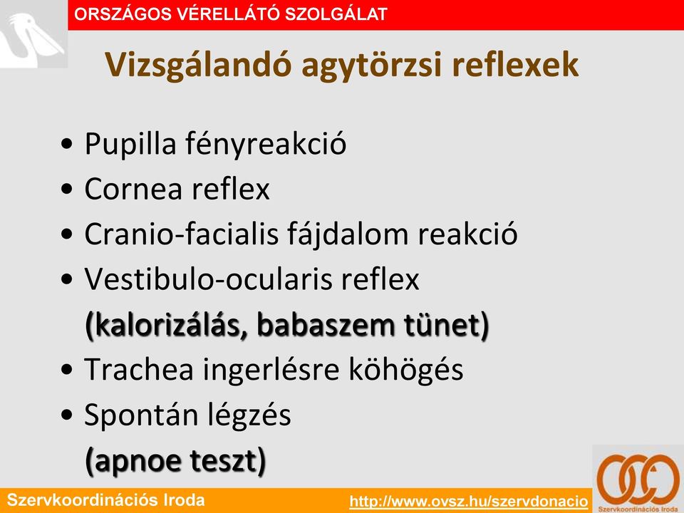 Vestibulo-ocularis reflex (kalorizálás, babaszem tünet) Trachea