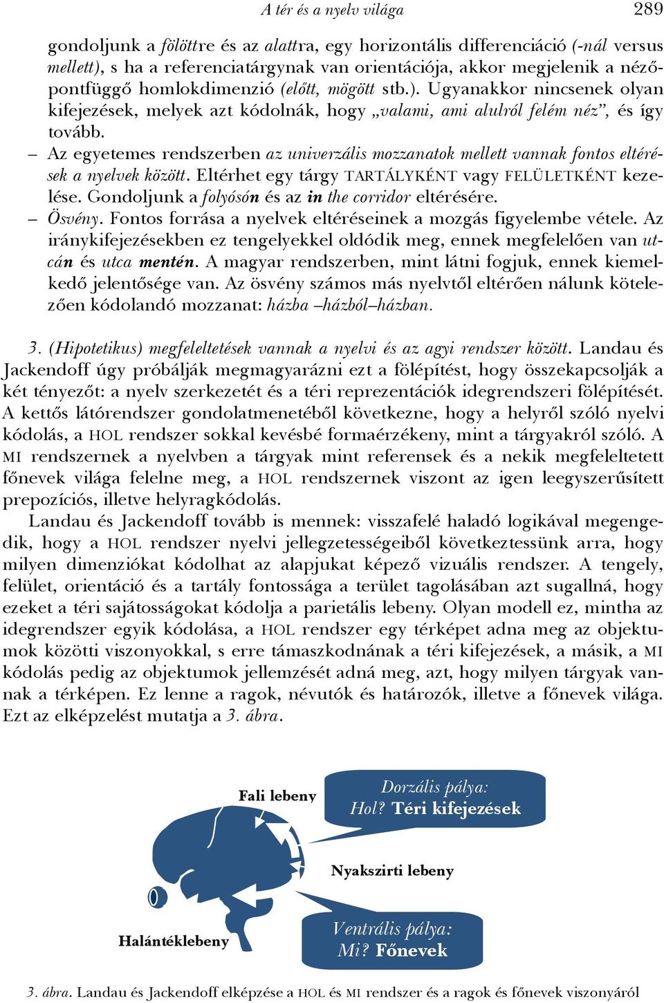 Az egyetemes rendszerben az univerzális mozzanatok mellett vannak fontos eltérések a nyelvek között. Eltérhet egy tárgy TARTÁLYKÉNT vagy FELÜLETKÉNT kezelése.