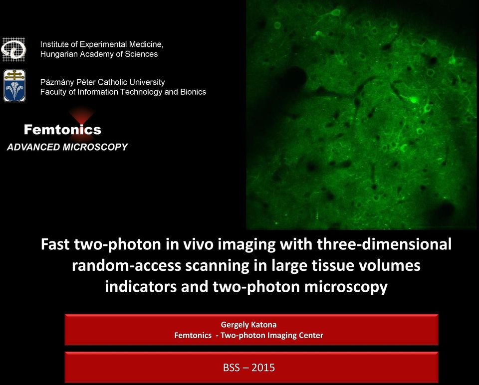 vivo imaging with three-dimensional random-access scanning in large tissue volumes