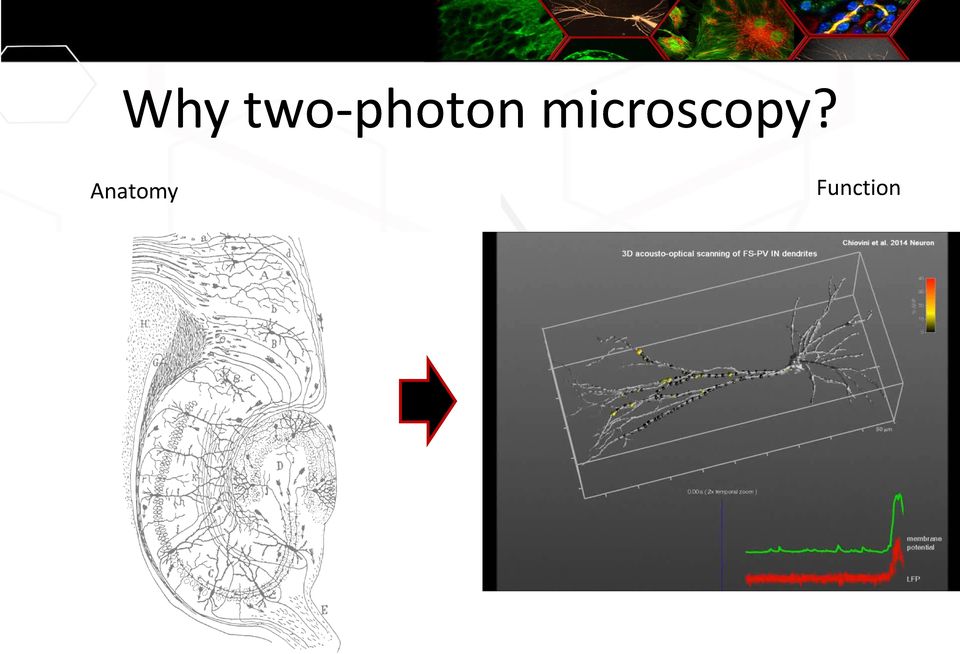microscopy?