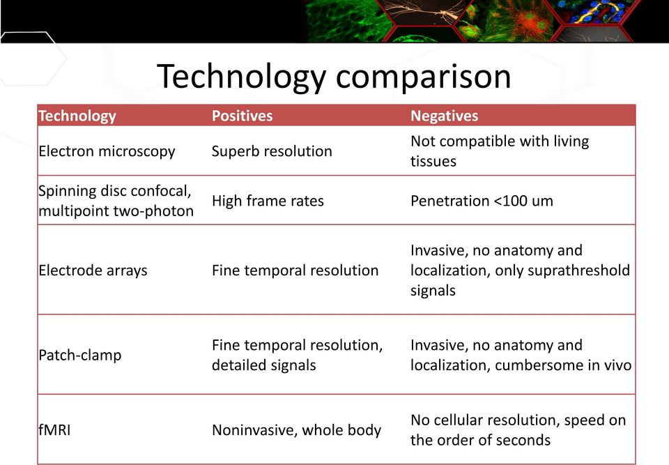 Invasive, no anatomy and localization, only suprathreshold signals Patch-clamp Fine temporal resolution, detailed signals