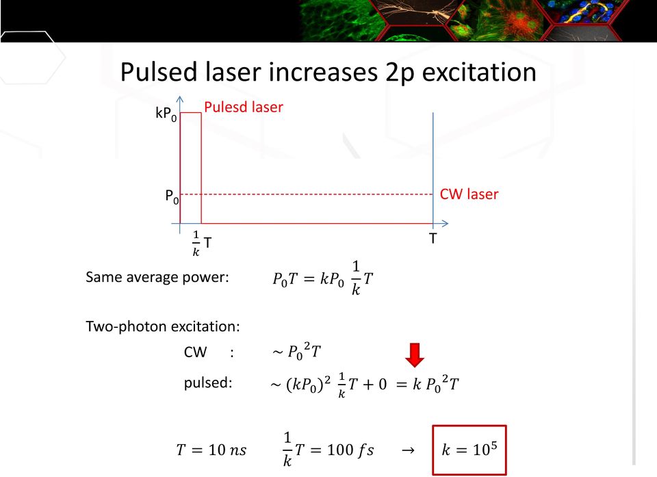 T Two-photon excitation: CW : ~ P 0 2 T pulsed: ~ (kp 0