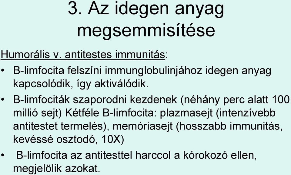 B-limfociták szaporodni kezdenek (néhány perc alatt 100 millió sejt) Kétféle B-limfocita: plazmasejt