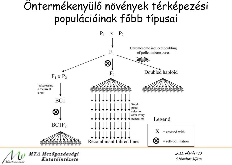 térképezési