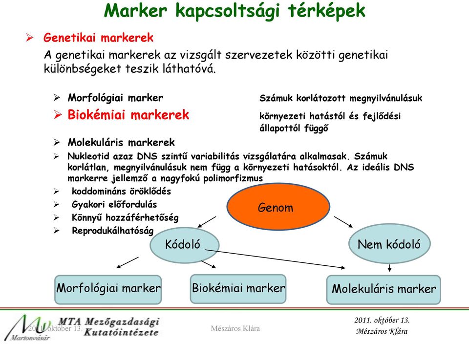 DNS szintű variabilitás vizsgálatára alkalmasak. Számuk korlátlan, megnyilvánulásuk nem függ a környezeti hatásoktól.