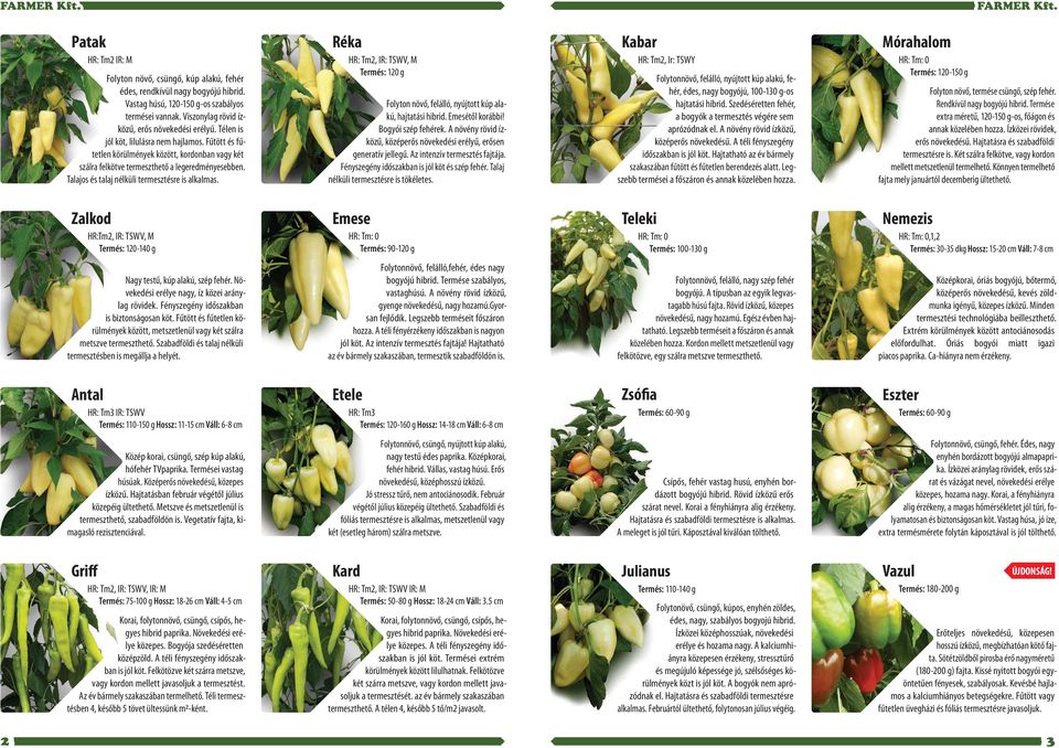 Talajos és talaj nélküli termesztésre is alkalmas. Réka HR: Tm2, IR: TSWV, M Termés: 120 g Folyton növő, felálló, nyújtott kúp alakú, hajtatási hibrid. Emesétől korábbi! Bogyói szép fehérek.